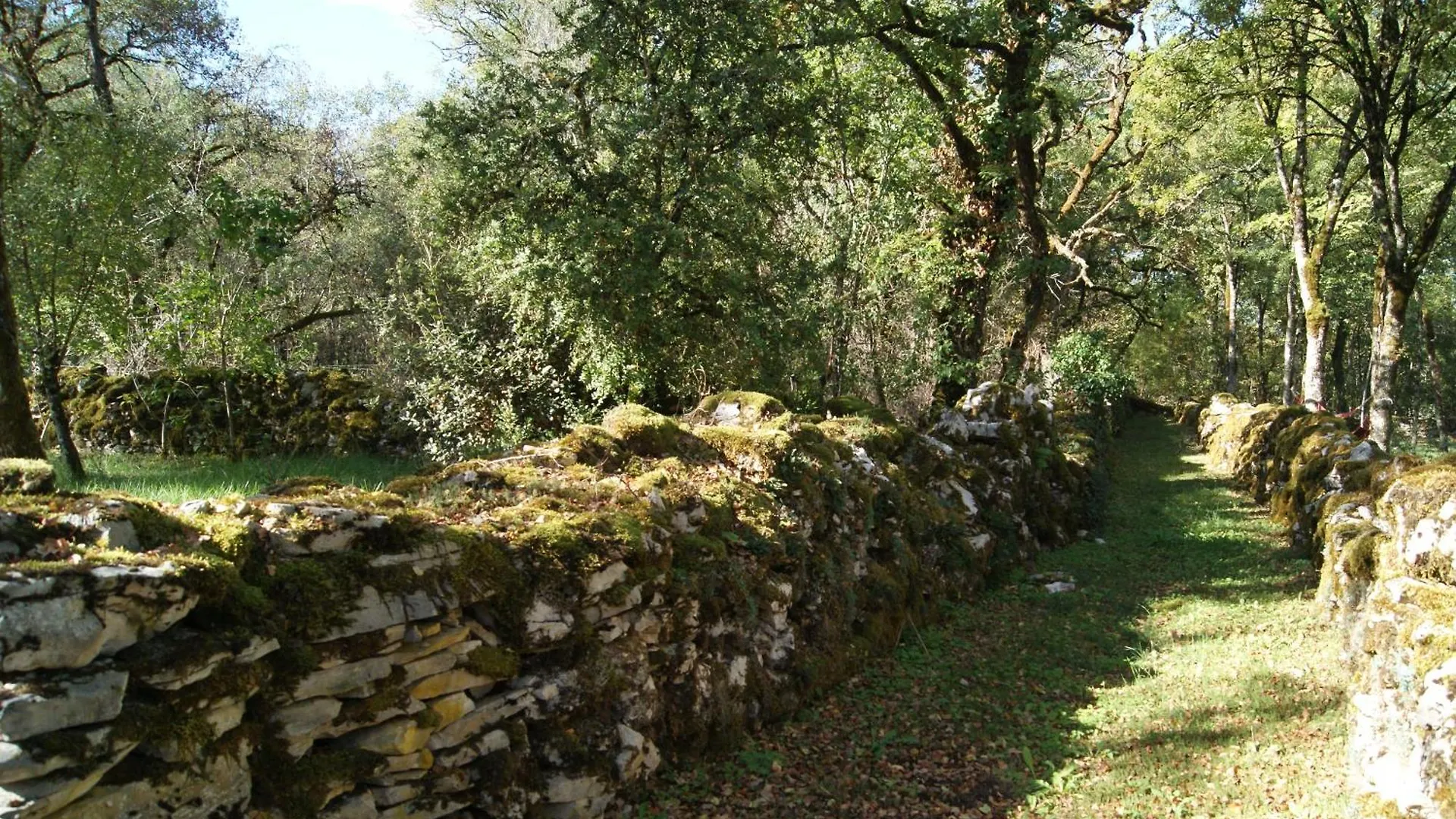 Le Domaine De La Claire Fontaine Gites -Chambres D'Hotes Montvalent